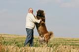 ADULTE ET CHIEN 292